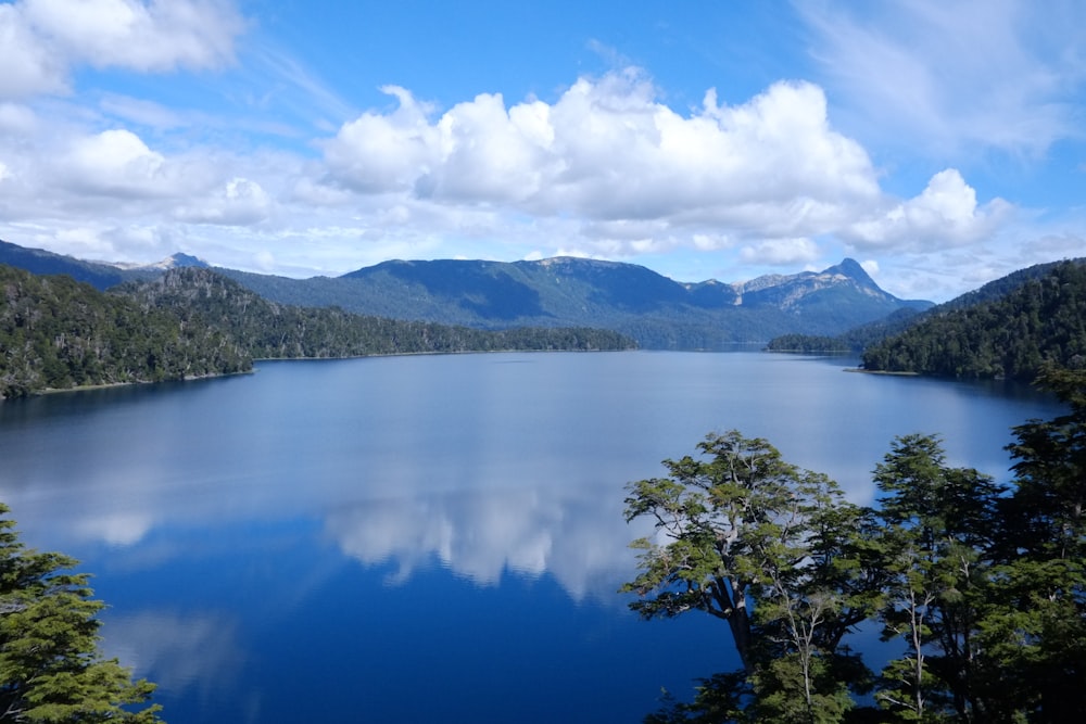 a large body of water surrounded by trees