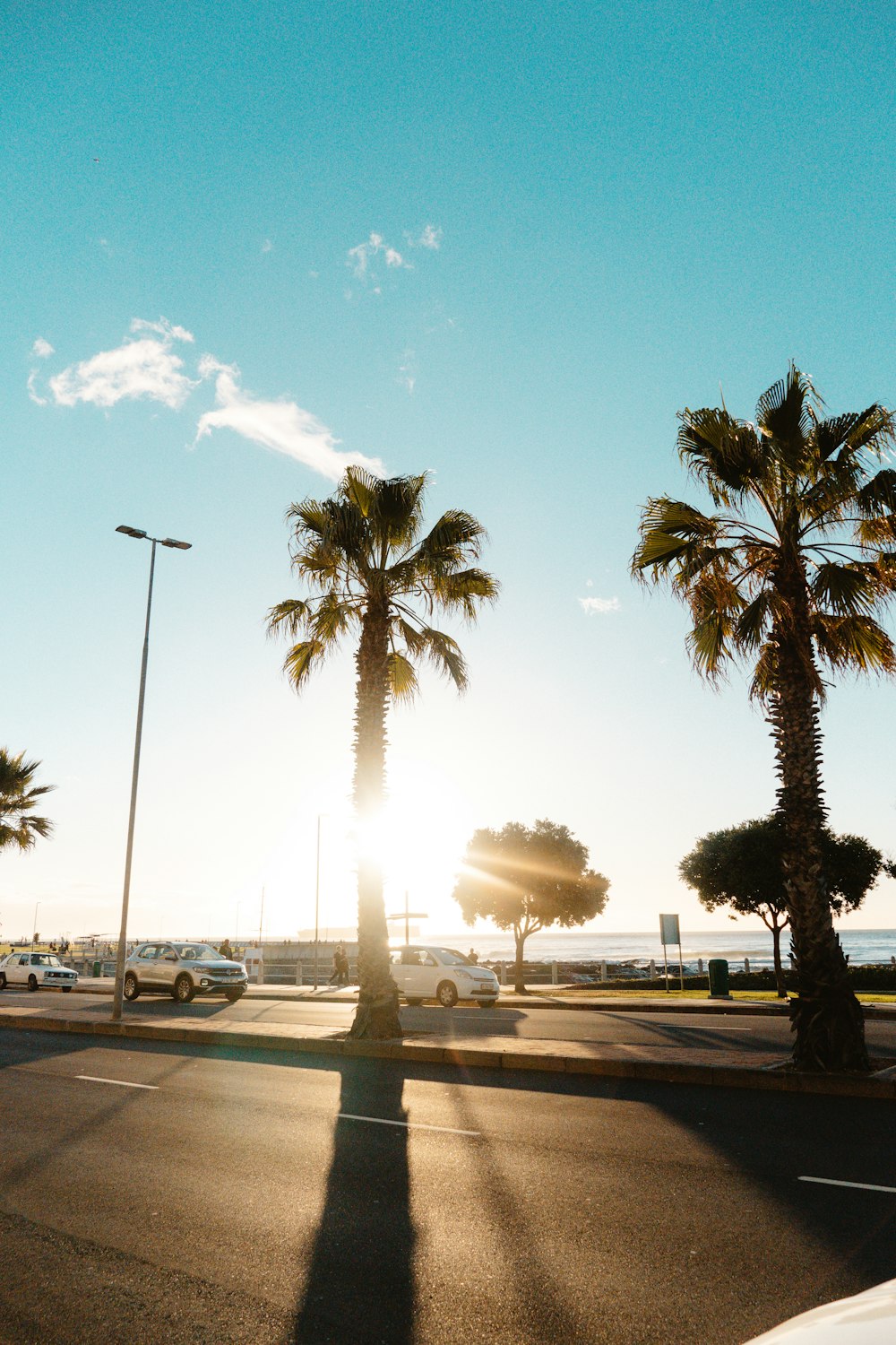 the sun is shining through the palm trees