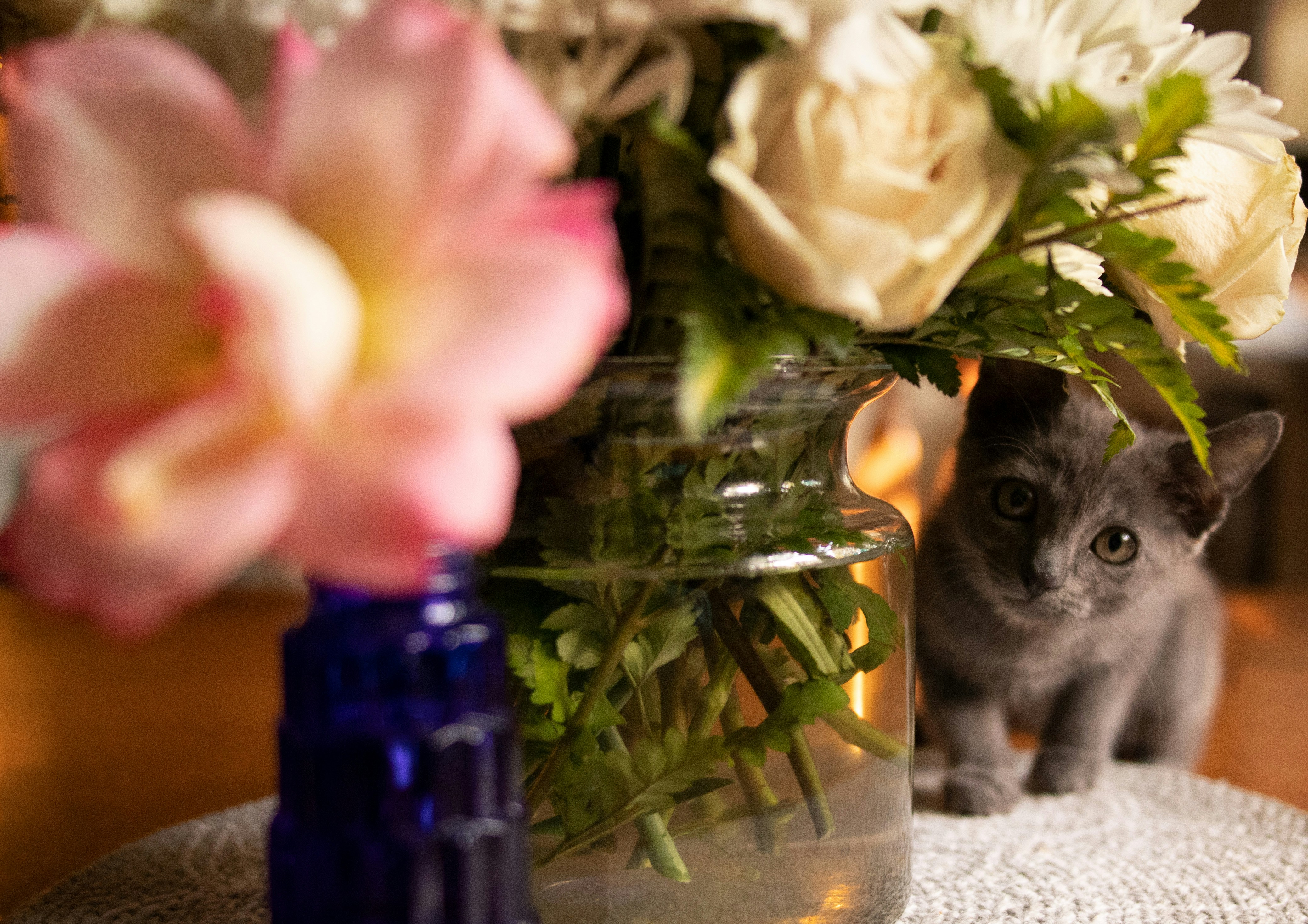 a cat sitting on a table next to a vase of flowers