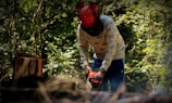 A person is operating a chainsaw in a wooded area, wearing a protective helmet with a visor. The surrounding environment is lush with greenery, indicating a forest setting. A recently cut tree stump is visible, suggesting logging or tree maintenance activity.