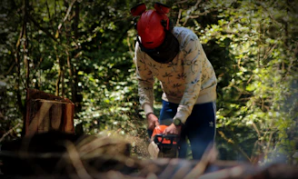 A professional forestry worker using a chainsaw safely in a dense forest.