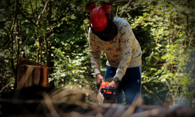 A professional forestry worker using a chainsaw safely in a dense forest.