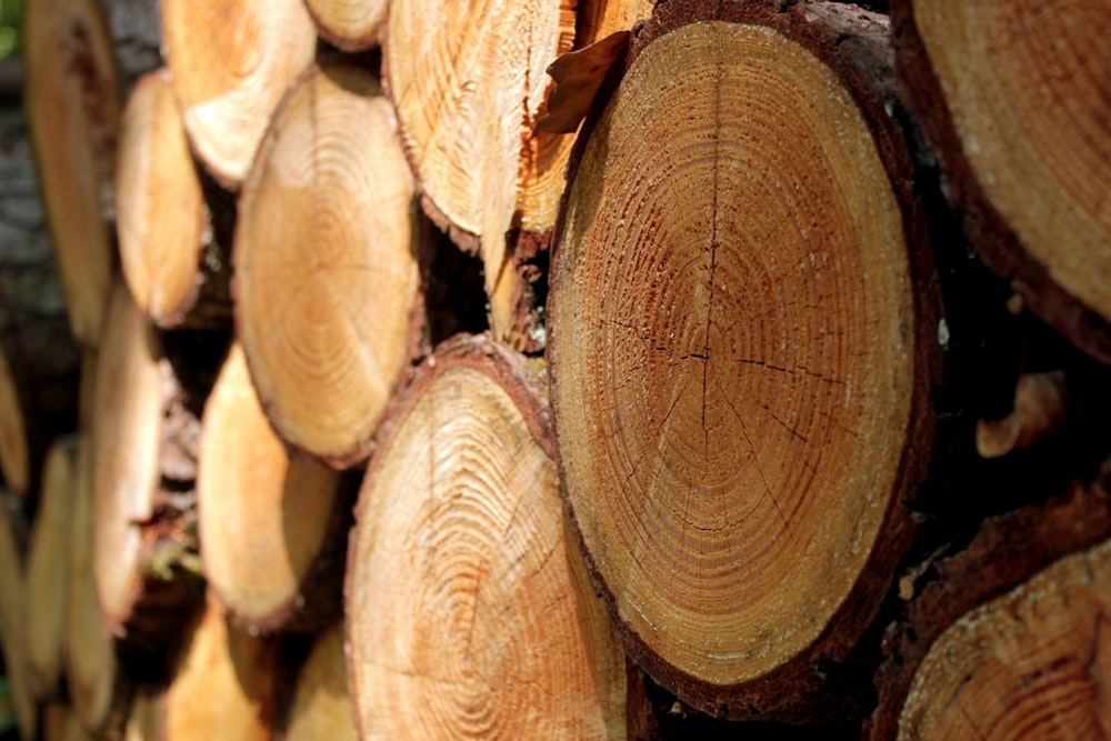 a pile of cut logs stacked on top of each other