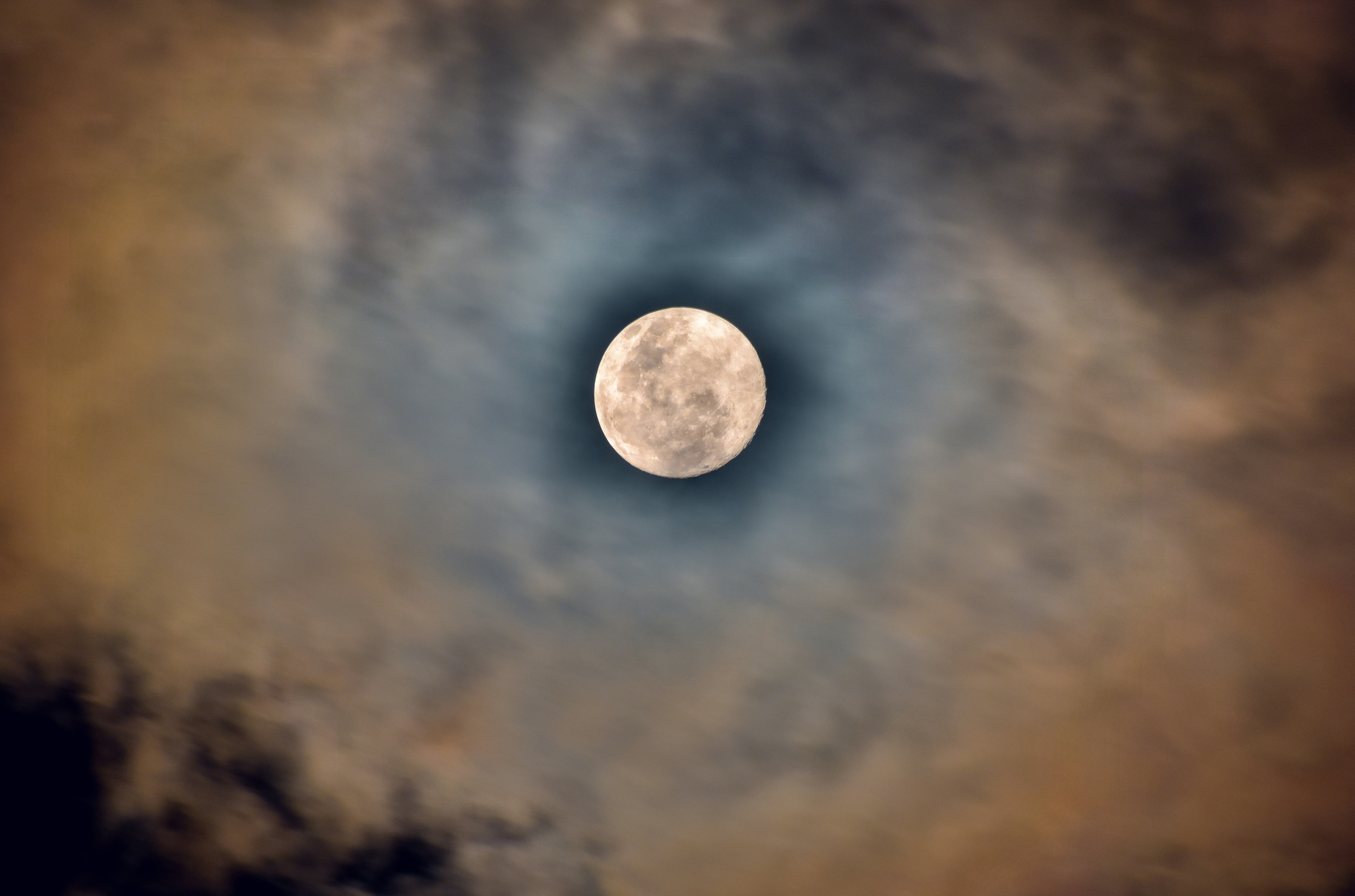 Photo by navi_photography