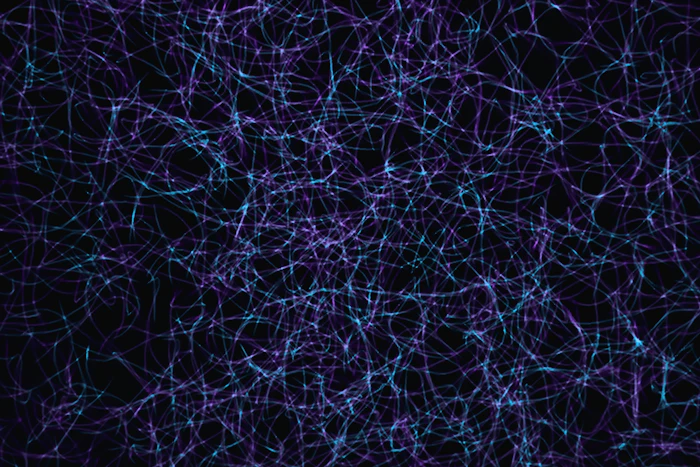 AI neural network infrastructure