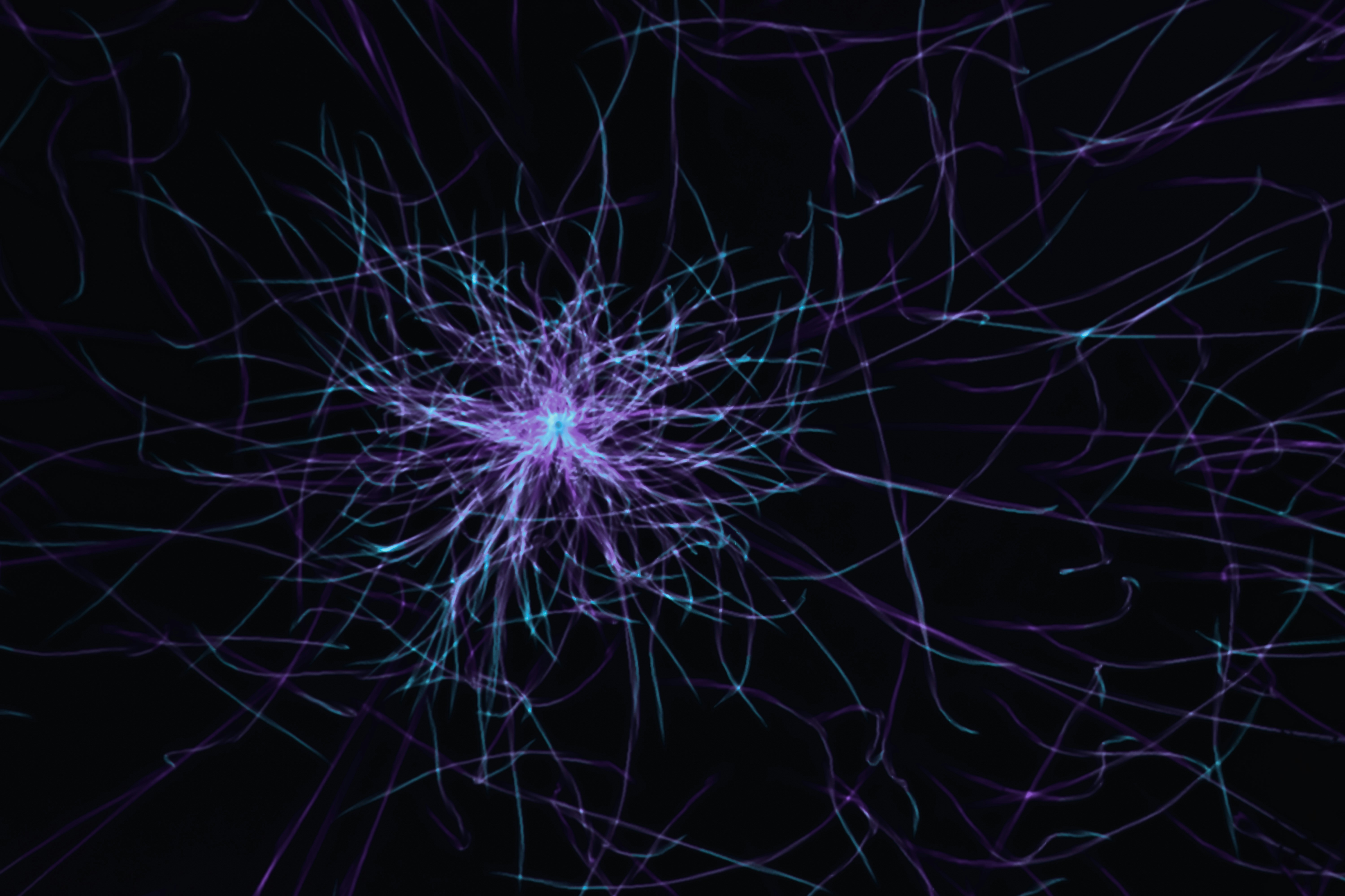 Alcance espectral: el escalado neuronal progresa en la cola espectral