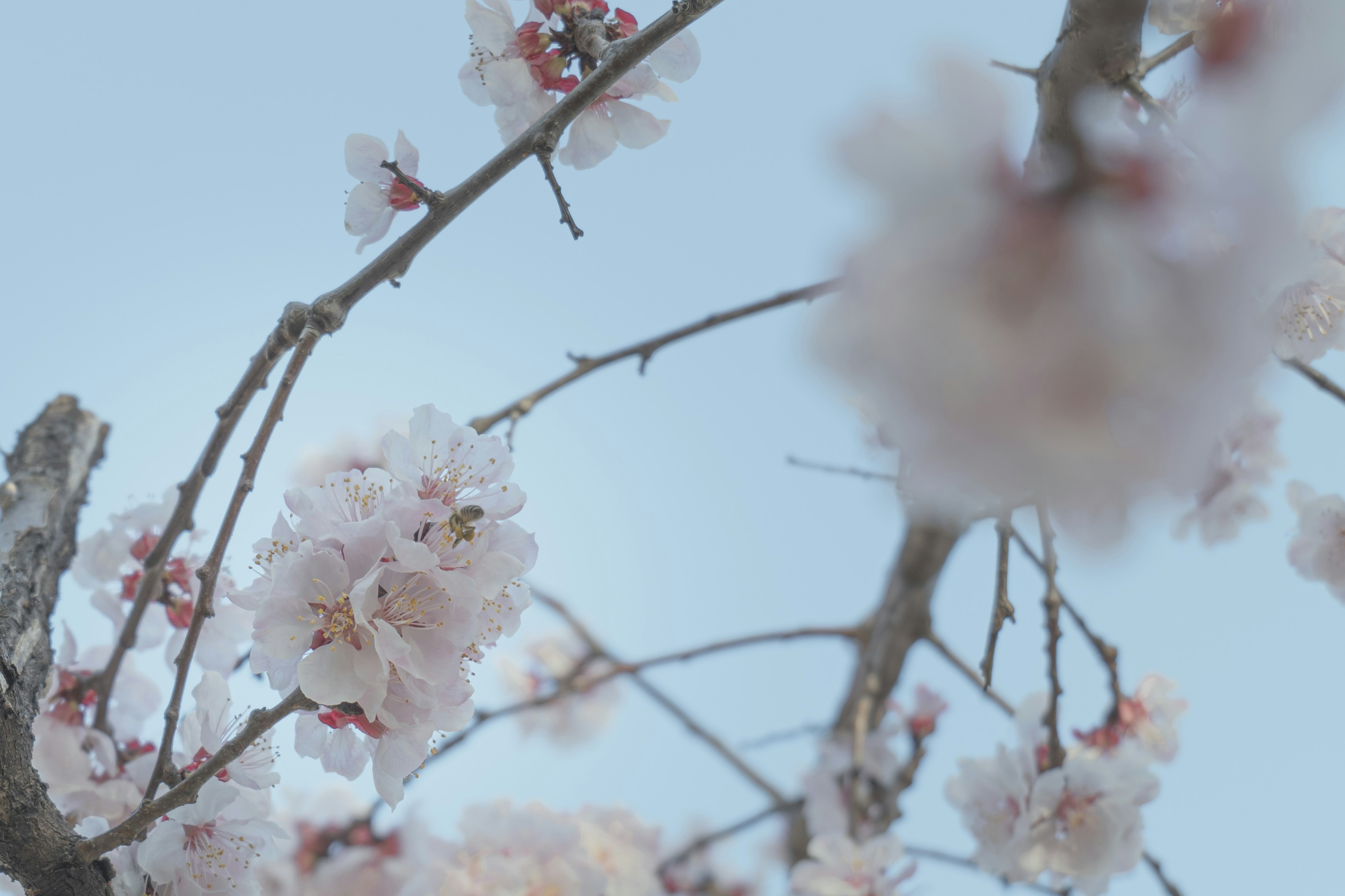 Photo by minecraftinventor