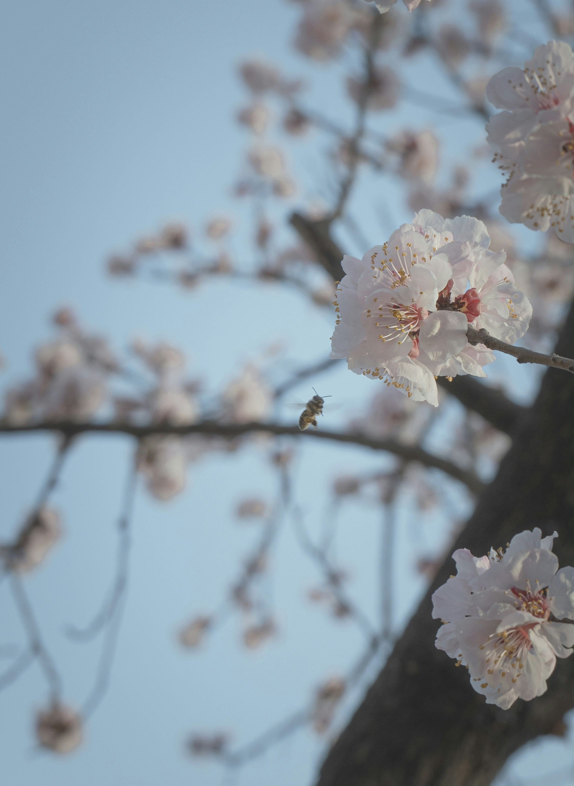 Photo by minecraftinventor