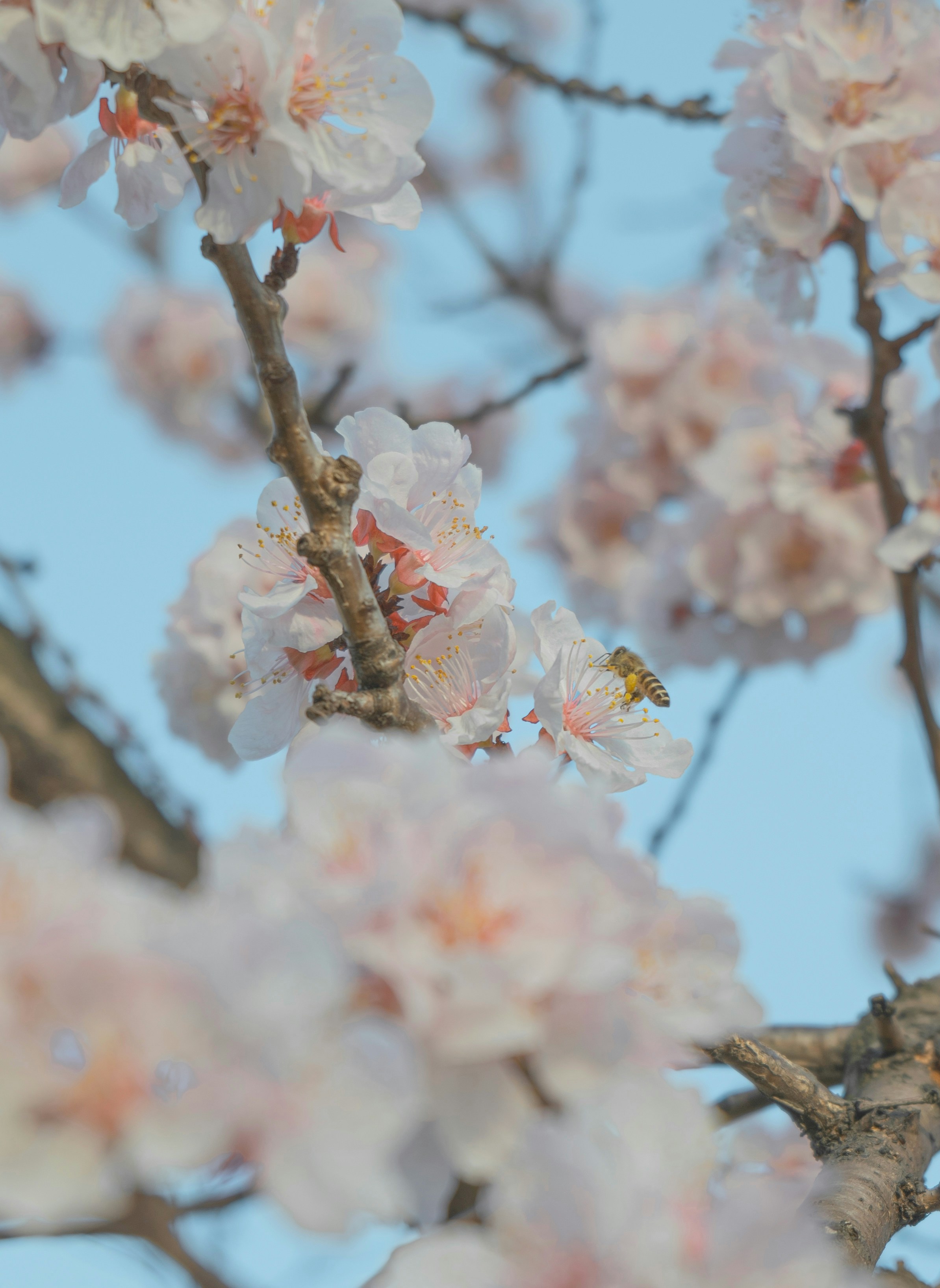 Photo by minecraftinventor