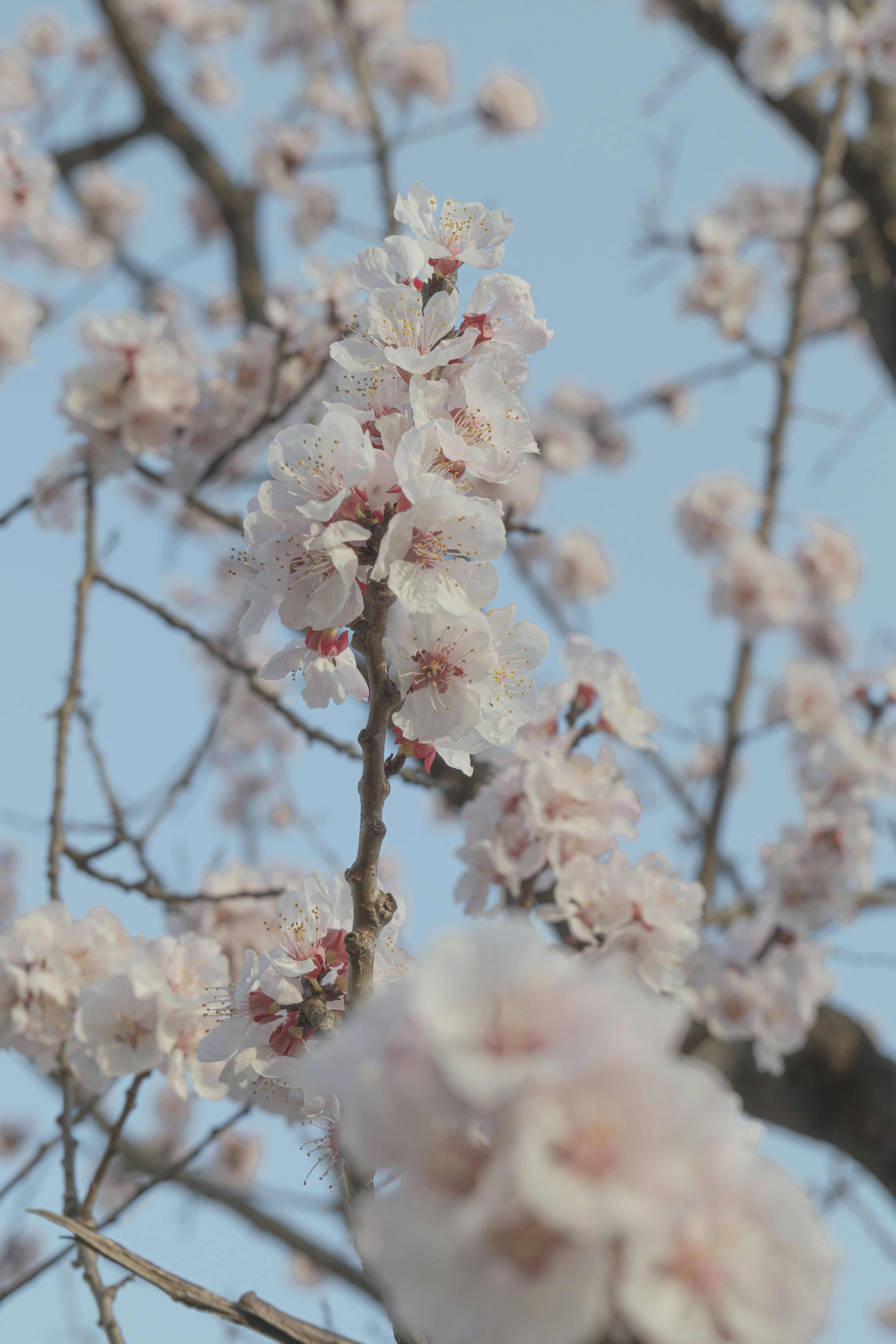 Photo by minecraftinventor