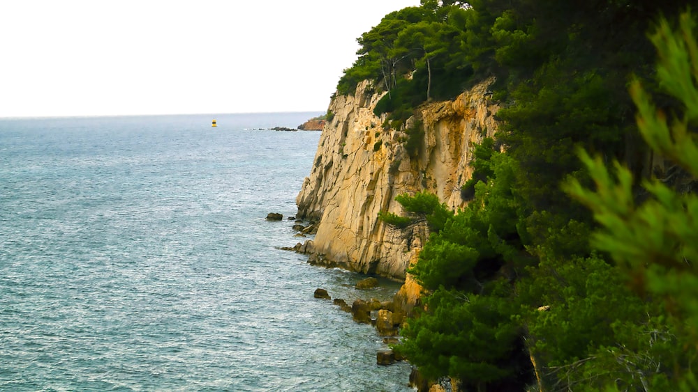 a view of the ocean from a cliff