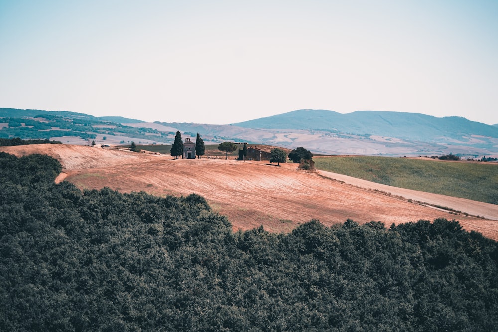 Un campo con alberi e montagne sullo sfondo