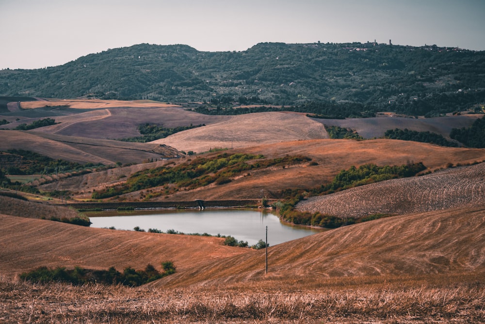 a lake in the middle of a field