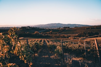 tuscany italy, slow travel, travel tips