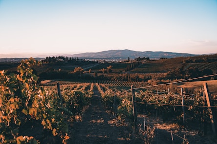 tuscany italy, slow travel, travel tips