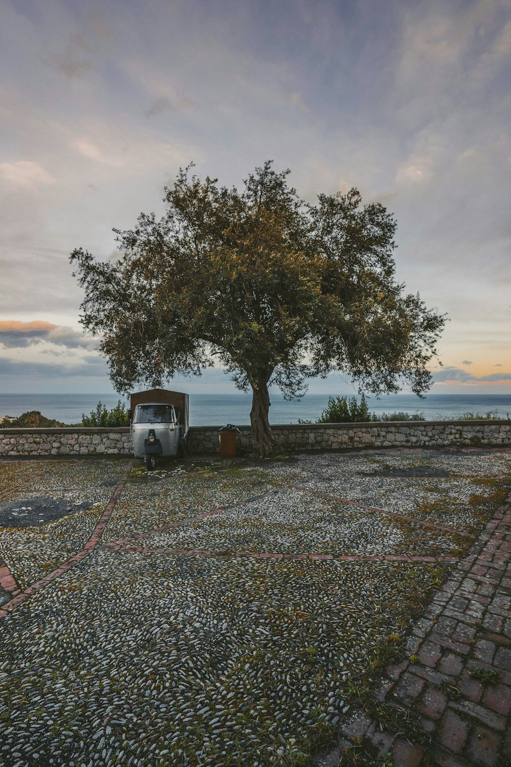 a truck parked under a tree on a gravel road