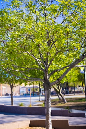 Photo 1647360161592 E20e4e0664d8?q=85&w=584&h=438&fit=crop