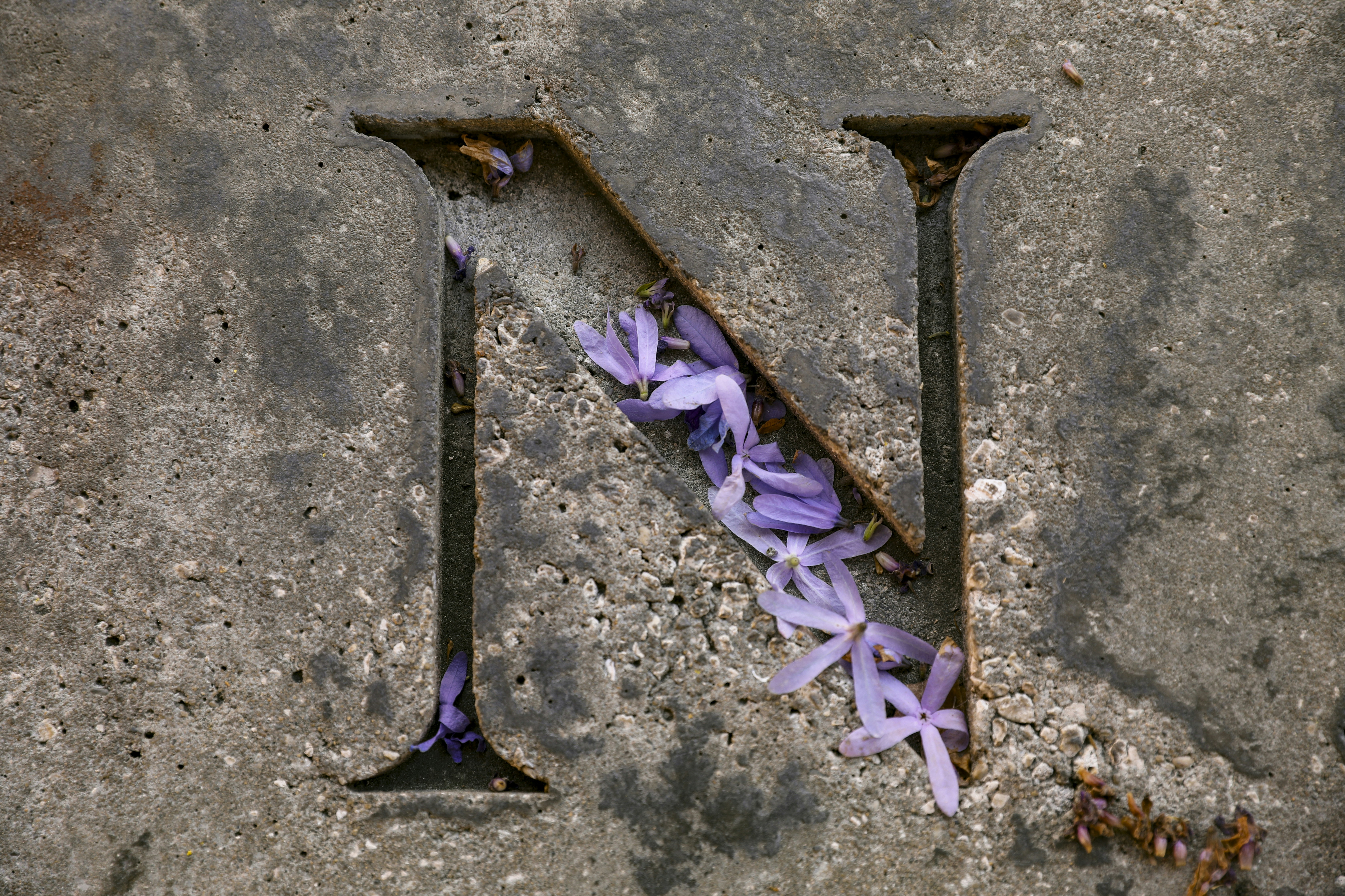 Otimização do Funil de Vendas