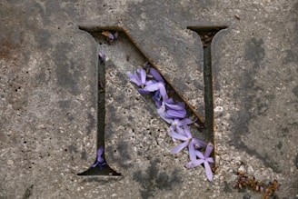 the letter n is made of metal and purple flowers