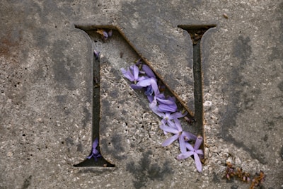 the letter n is made of metal and purple flowers