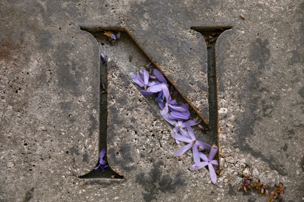 the letter n is made of metal and purple flowers