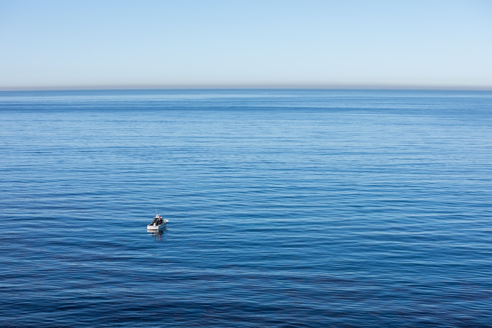 a lone seagull floating in the middle of the ocean