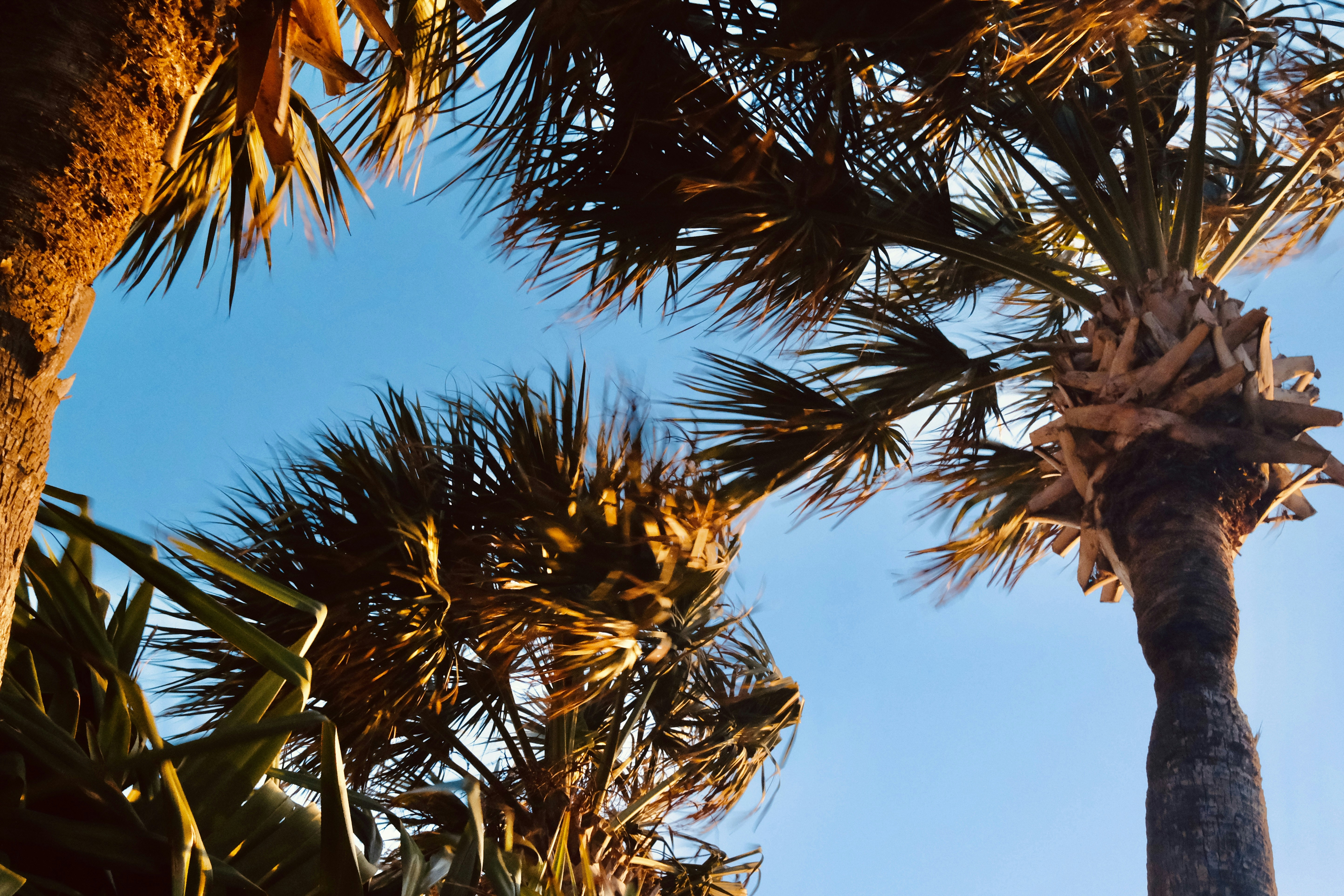 Photo by nicholas_szewczyk