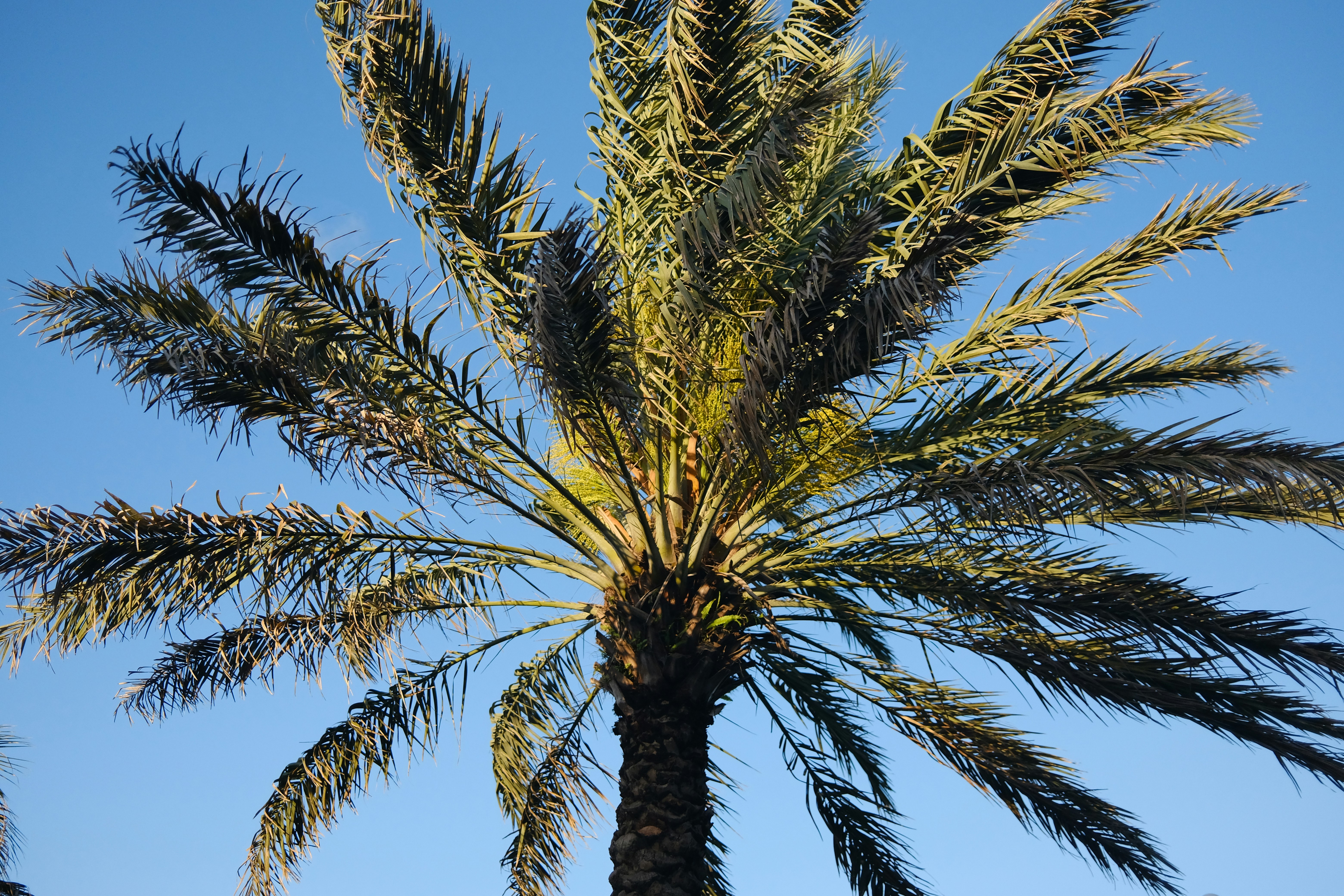 Photo by nicholas_szewczyk