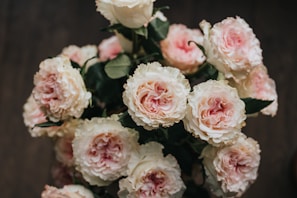 A bouquet of lush, pale pink and cream roses with detailed petals. The roses are fresh and vibrant, arranged against a dark, blurred background that enhances their delicate hues. The leaves are deep green and provide a rich contrast to the soft colors of the flowers.