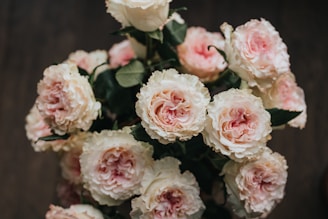 A bouquet of lush, pale pink and cream roses with detailed petals. The roses are fresh and vibrant, arranged against a dark, blurred background that enhances their delicate hues. The leaves are deep green and provide a rich contrast to the soft colors of the flowers.