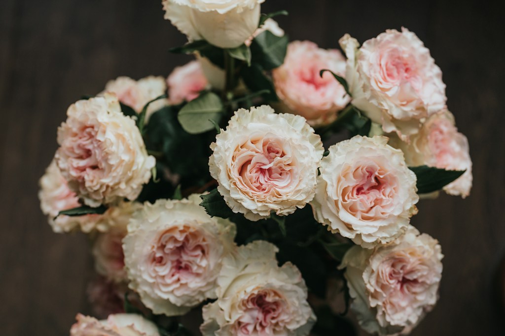 Blush Rose Gathering