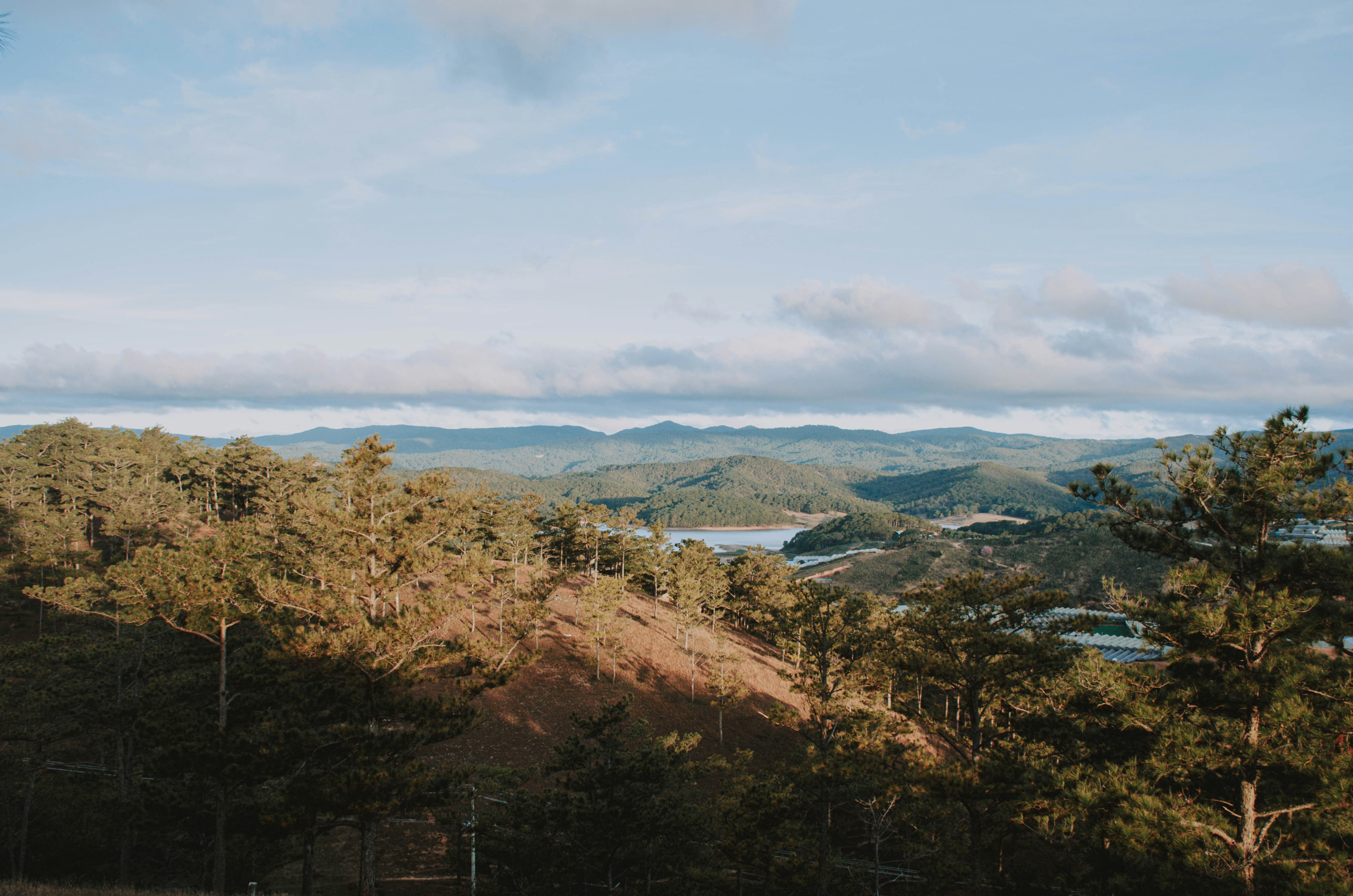 Photo by johnn21