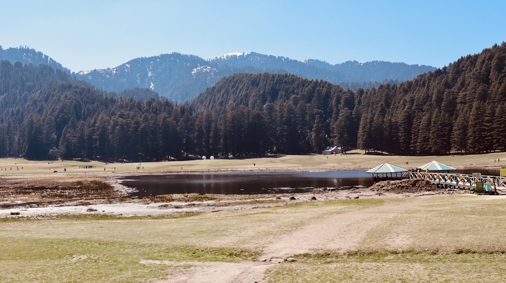 Un campo con un lago e montagne sullo sfondo