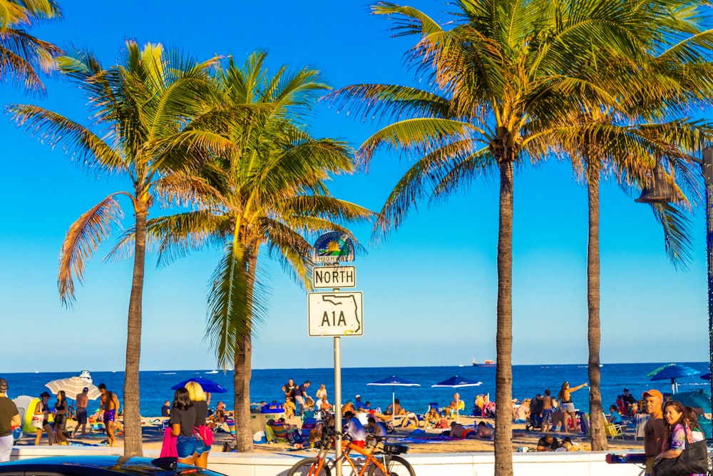 a group of people on a beach next to palm trees