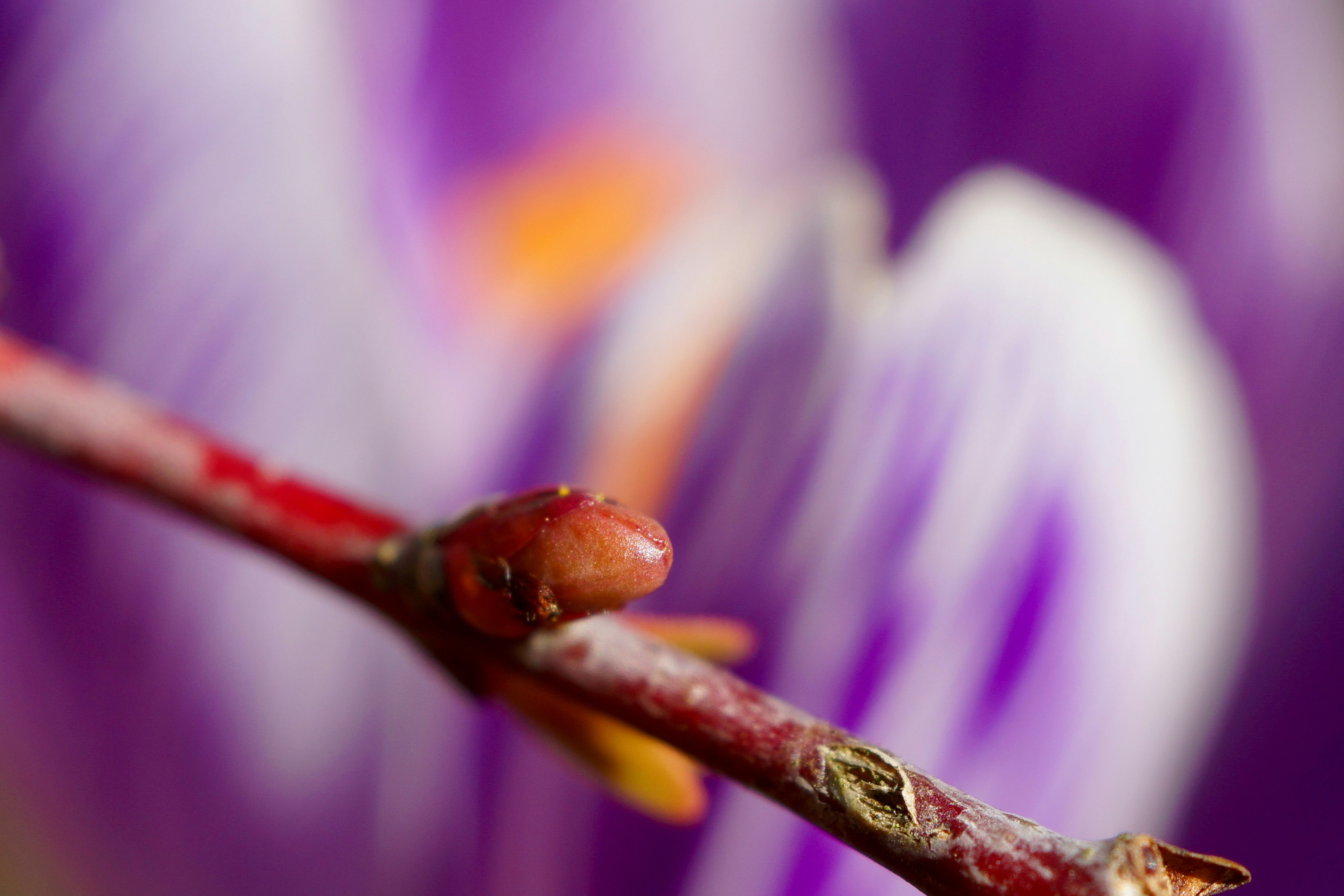 Photo by peterburdon