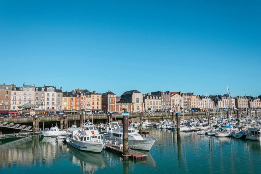 a harbor filled with lots of boats next to tall buildings