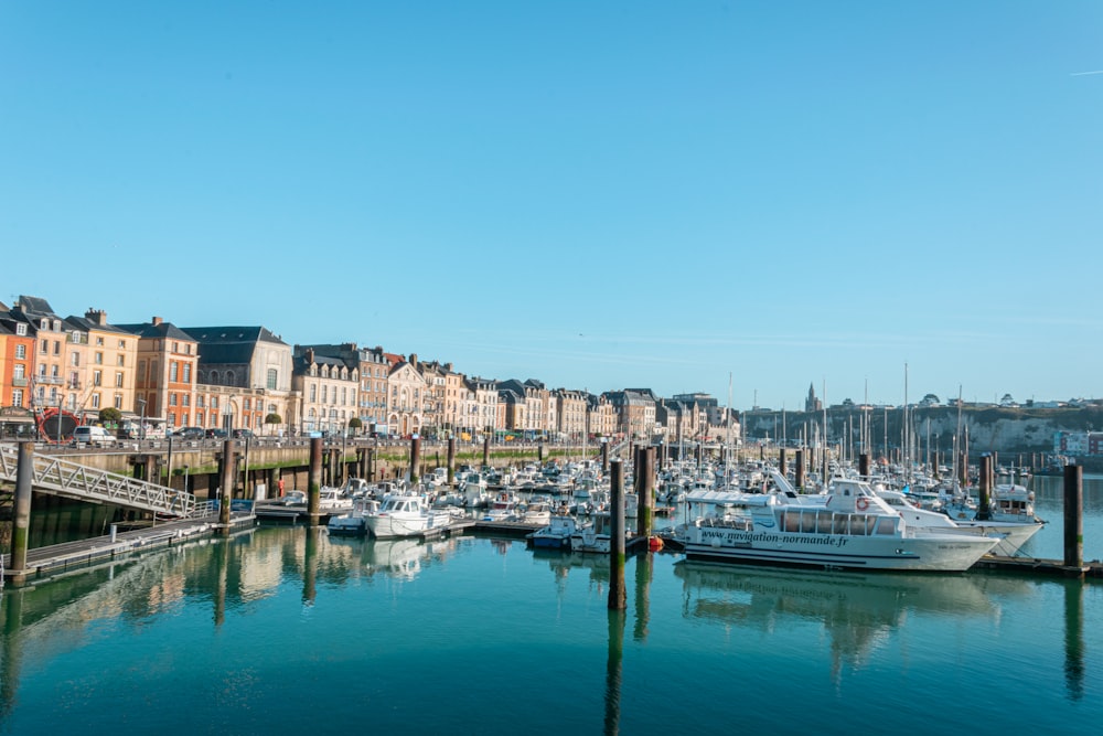 a harbor filled with lots of boats next to tall buildings