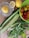 A variety of fresh vegetables and fruits are arranged on a wooden surface. There is a lemon in a glass juicer, a whole lemon, a sliced half lemon, several cucumbers, spring onions, mint leaves, and a green plastic basket containing assorted cherry tomatoes of different colors.
