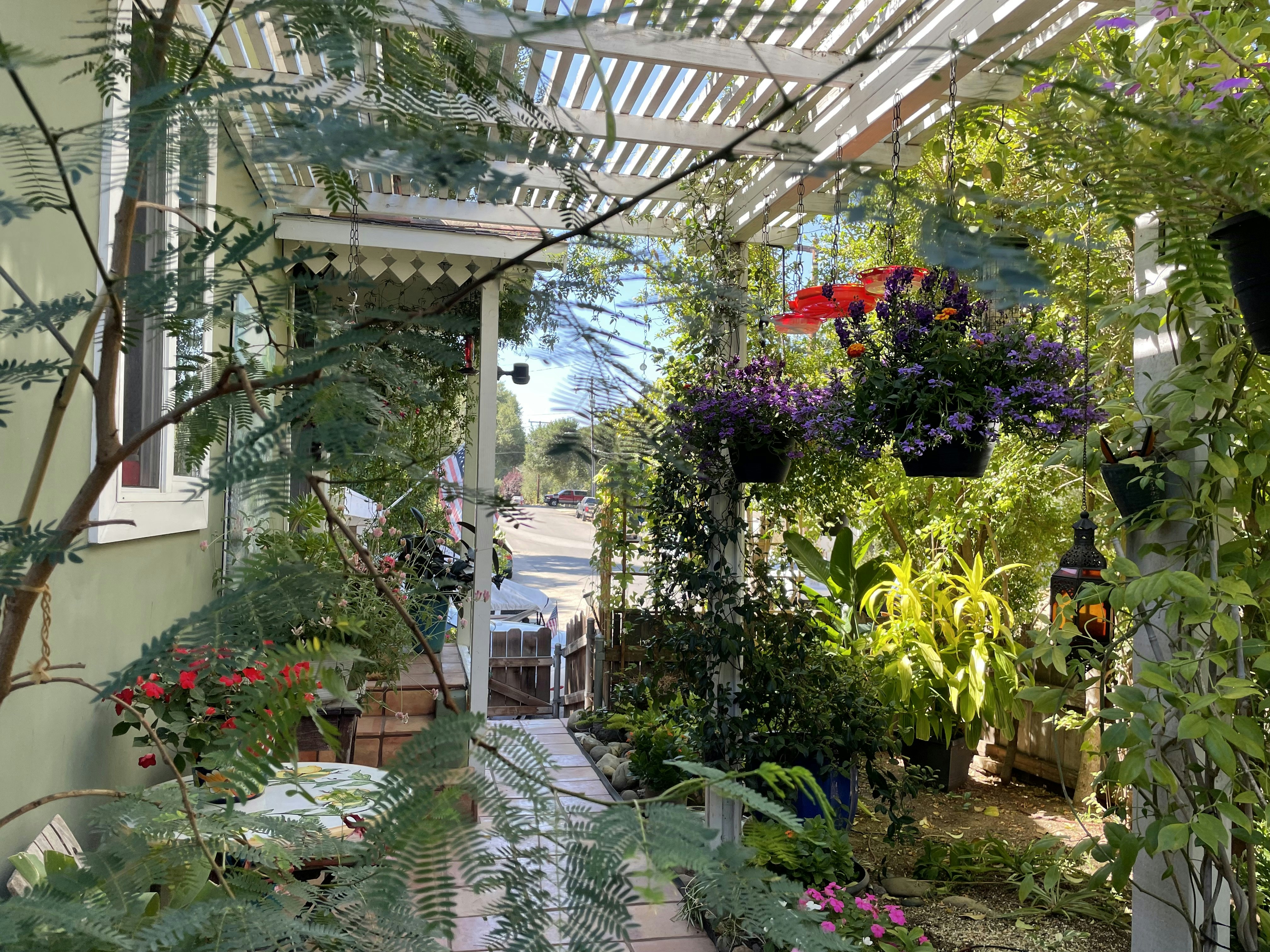a house with a lot of plants in the yard