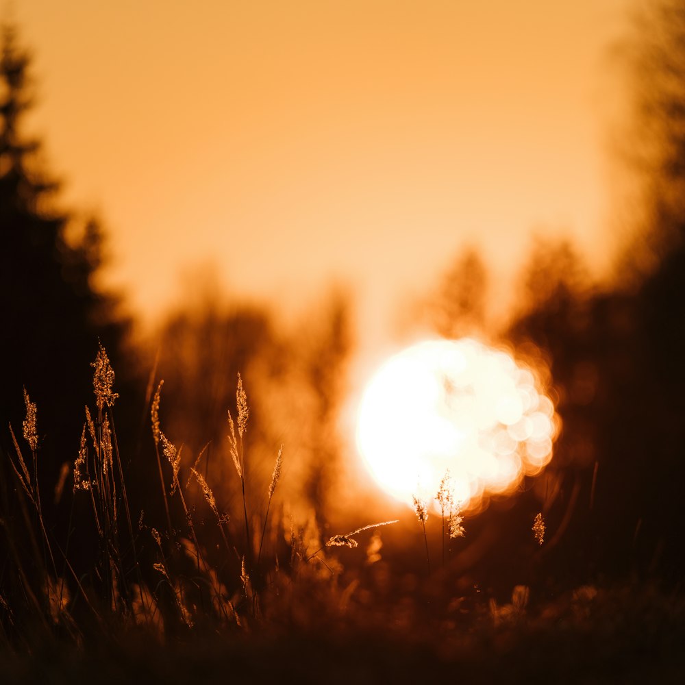 the sun is setting in the distance behind some trees