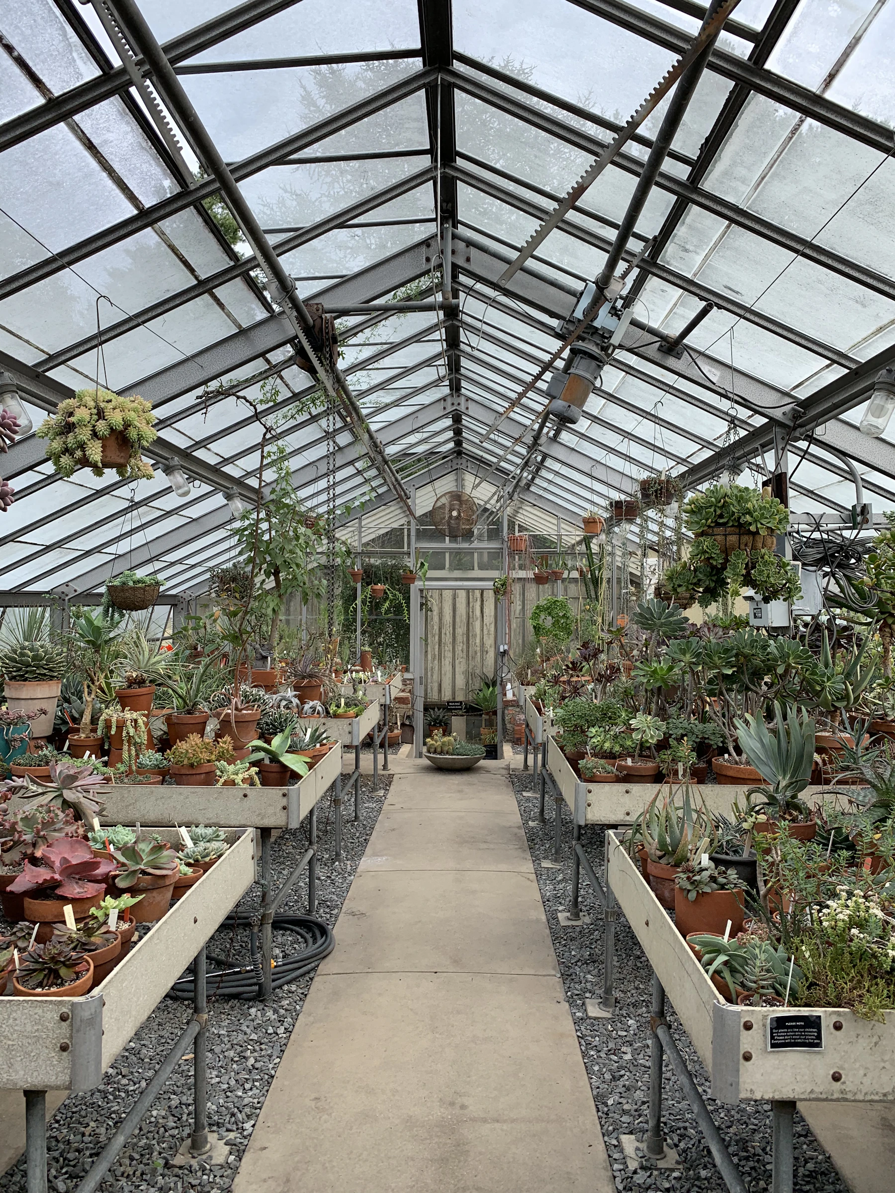 A greenhouse filled with lots of potted plants