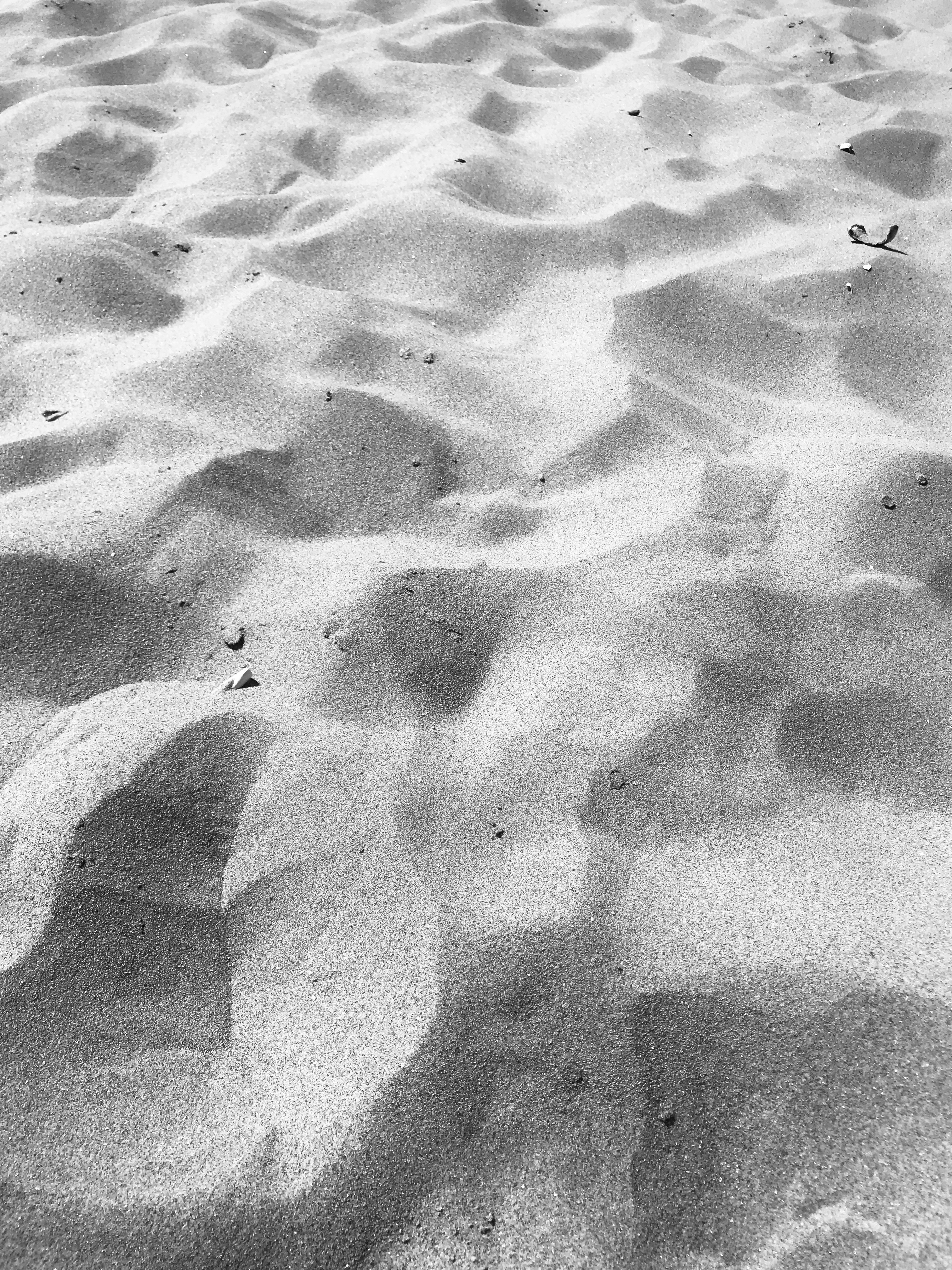 Photo by luis_de_leon