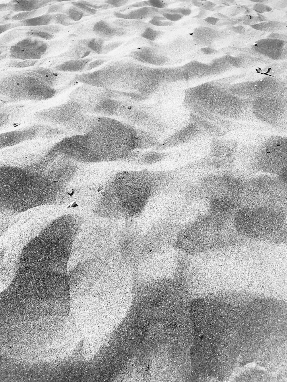 Une photo en noir et blanc d’une plage de sable fin