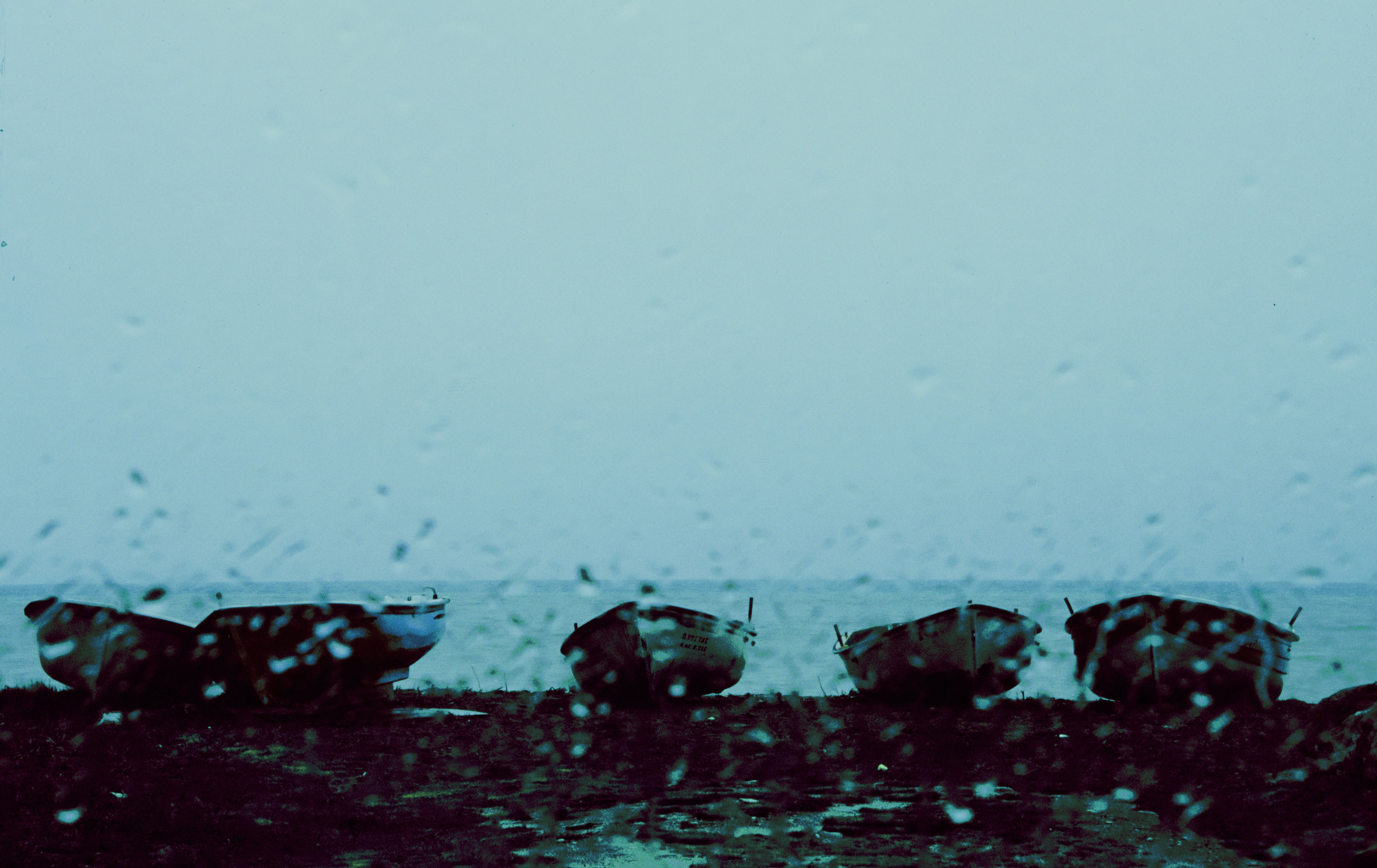 Un gruppo di uccelli in piedi sulla cima di una spiaggia