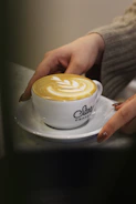 Hands of a woman and advisor discussing paperwork over coffee