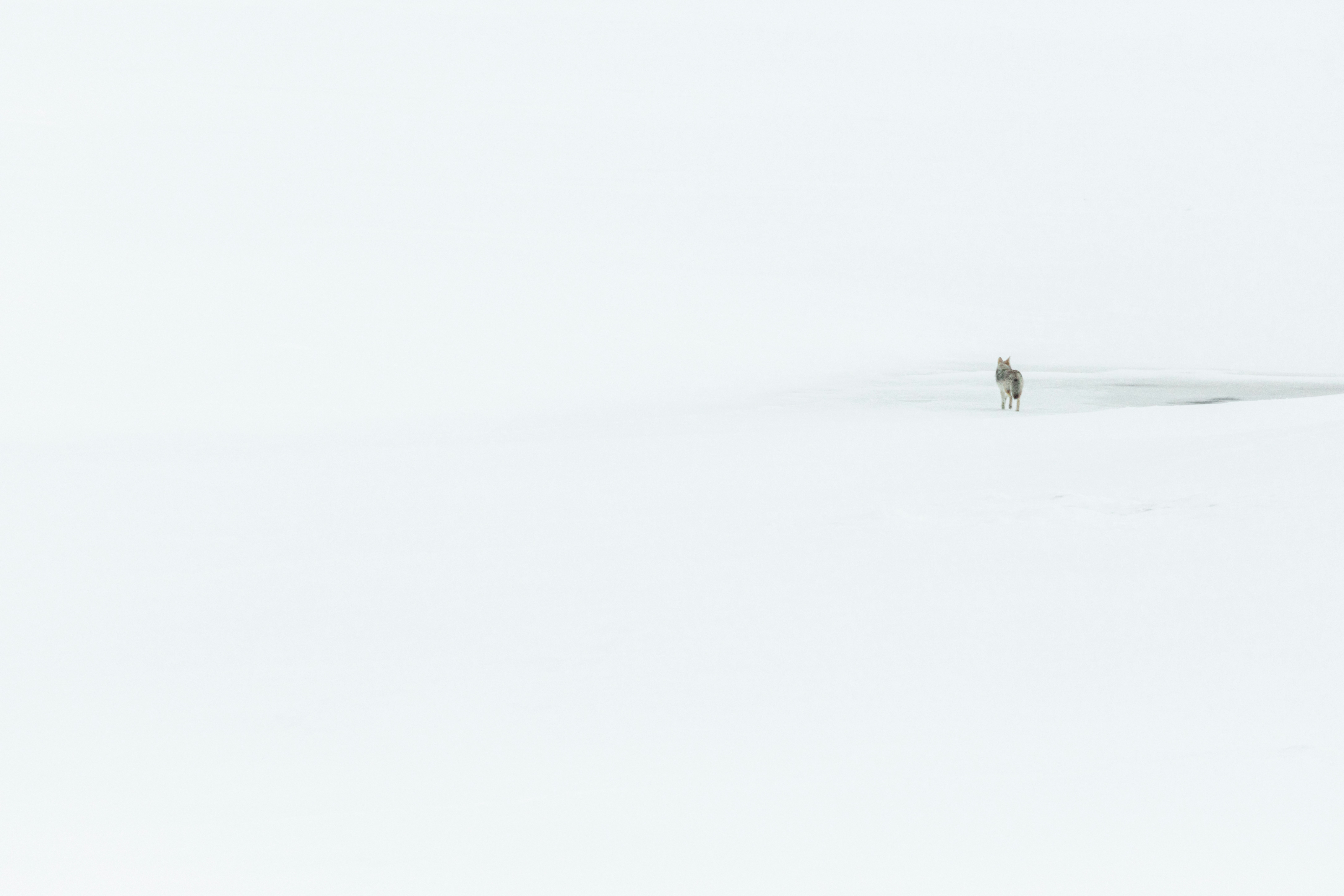 Photo by worldsbetweenlines