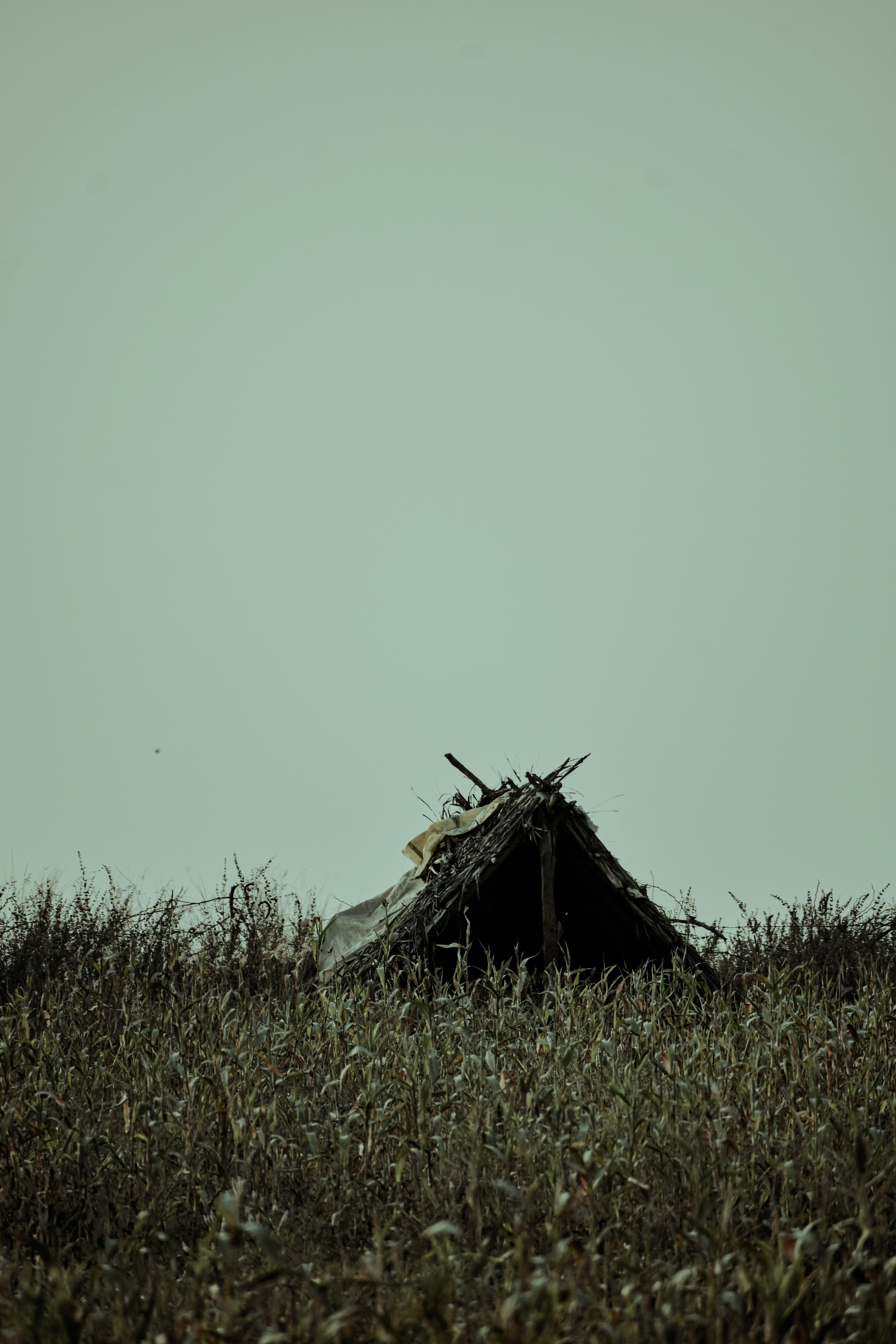 Photo by aditya_ghodke