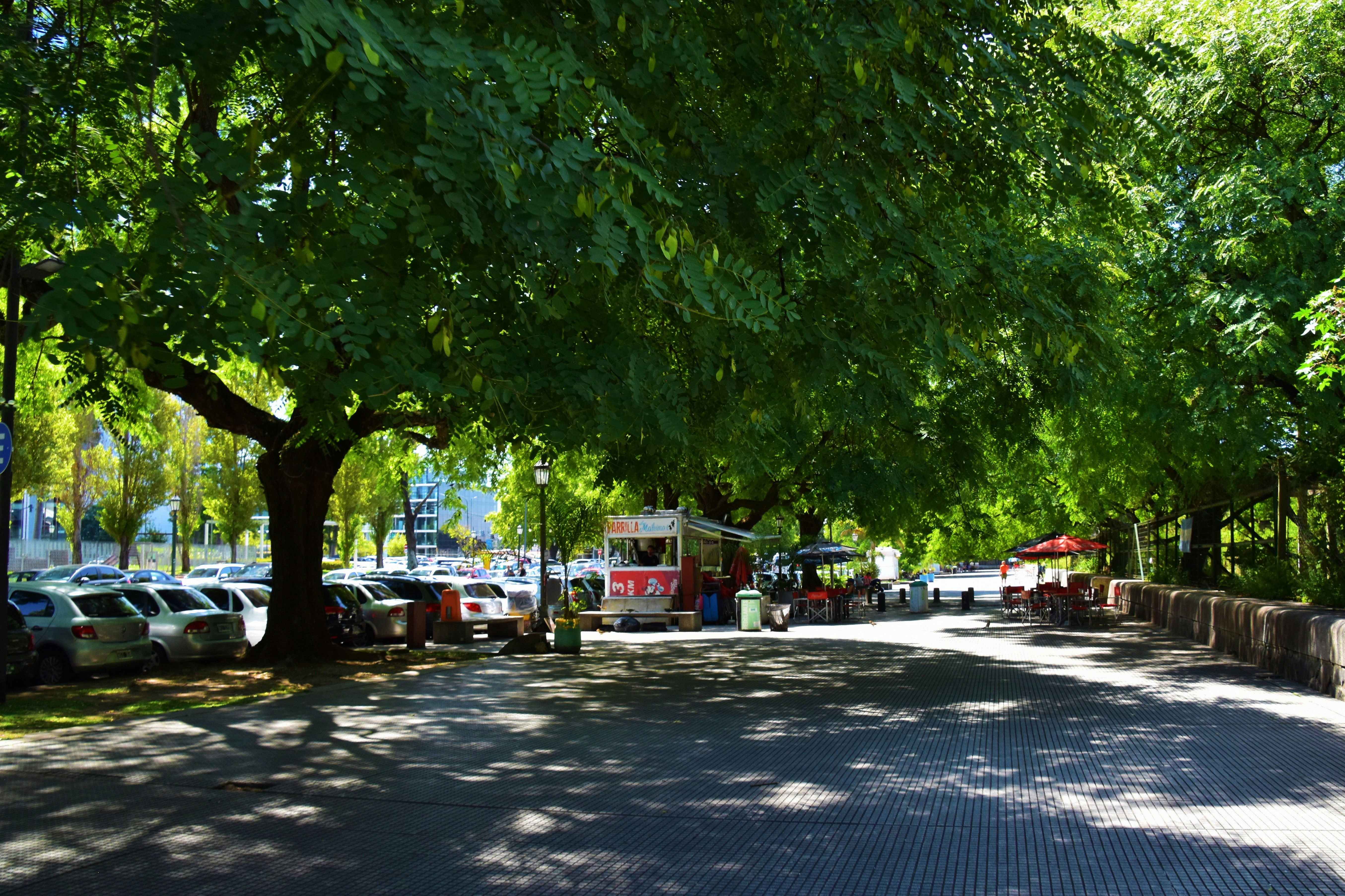 a bus is parked on the side of the road