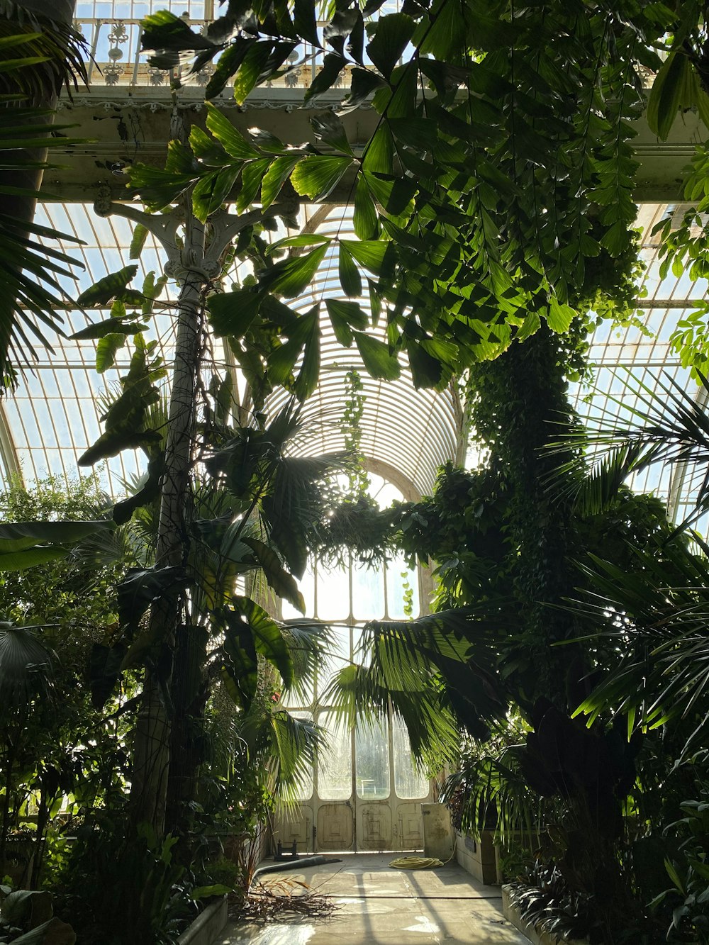 내부에 많은 식물이있는 넓은 방