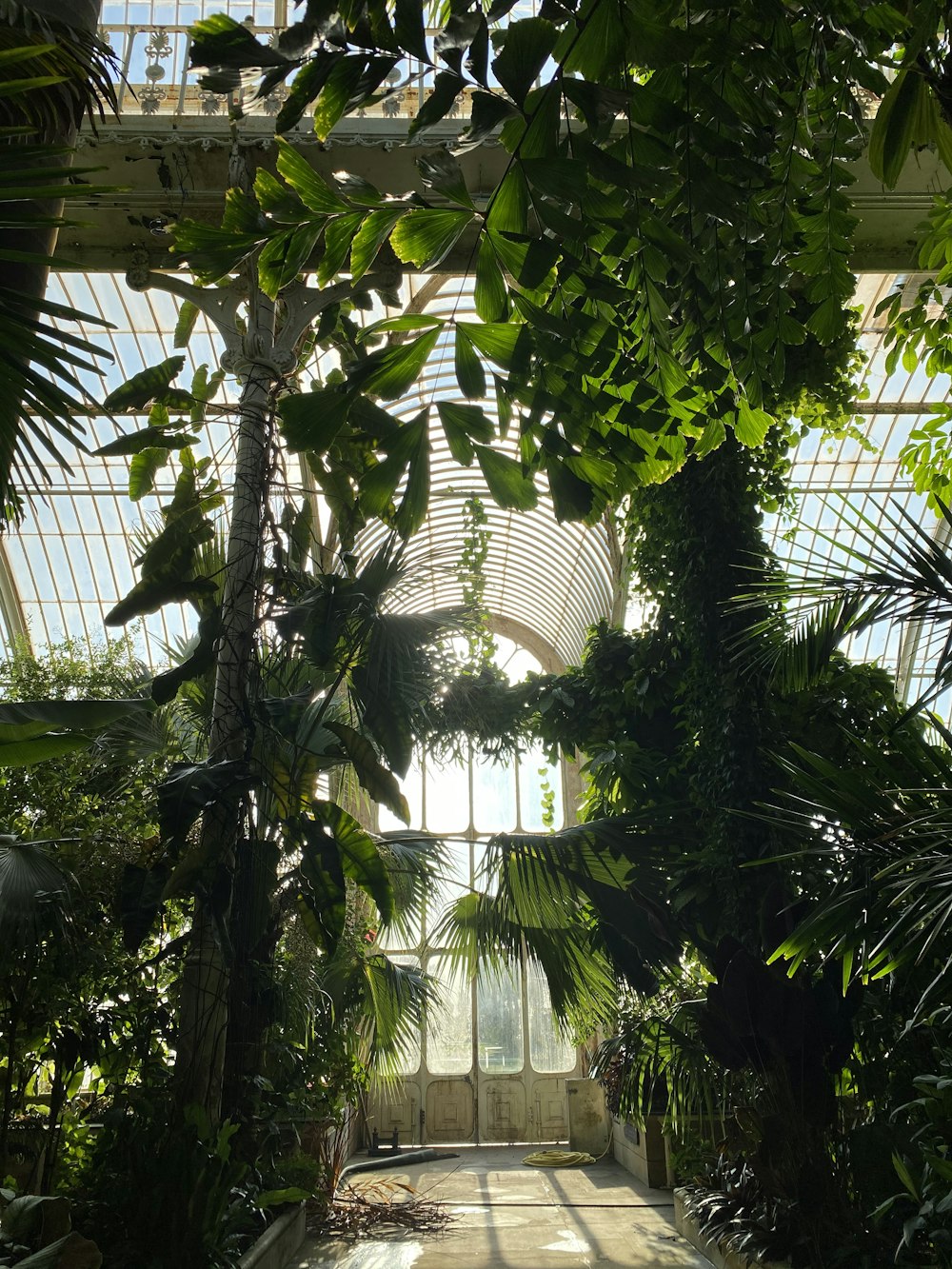 Una habitación grande con muchas plantas en su interior